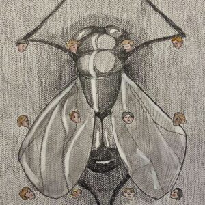 La Vie d'une Mouche